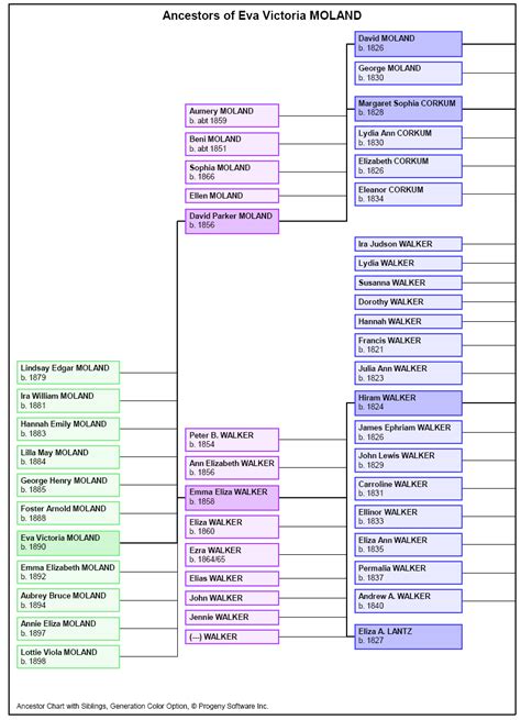 親戚樹狀圖|Build Your Family Tree – First Ancestor Pedigree。